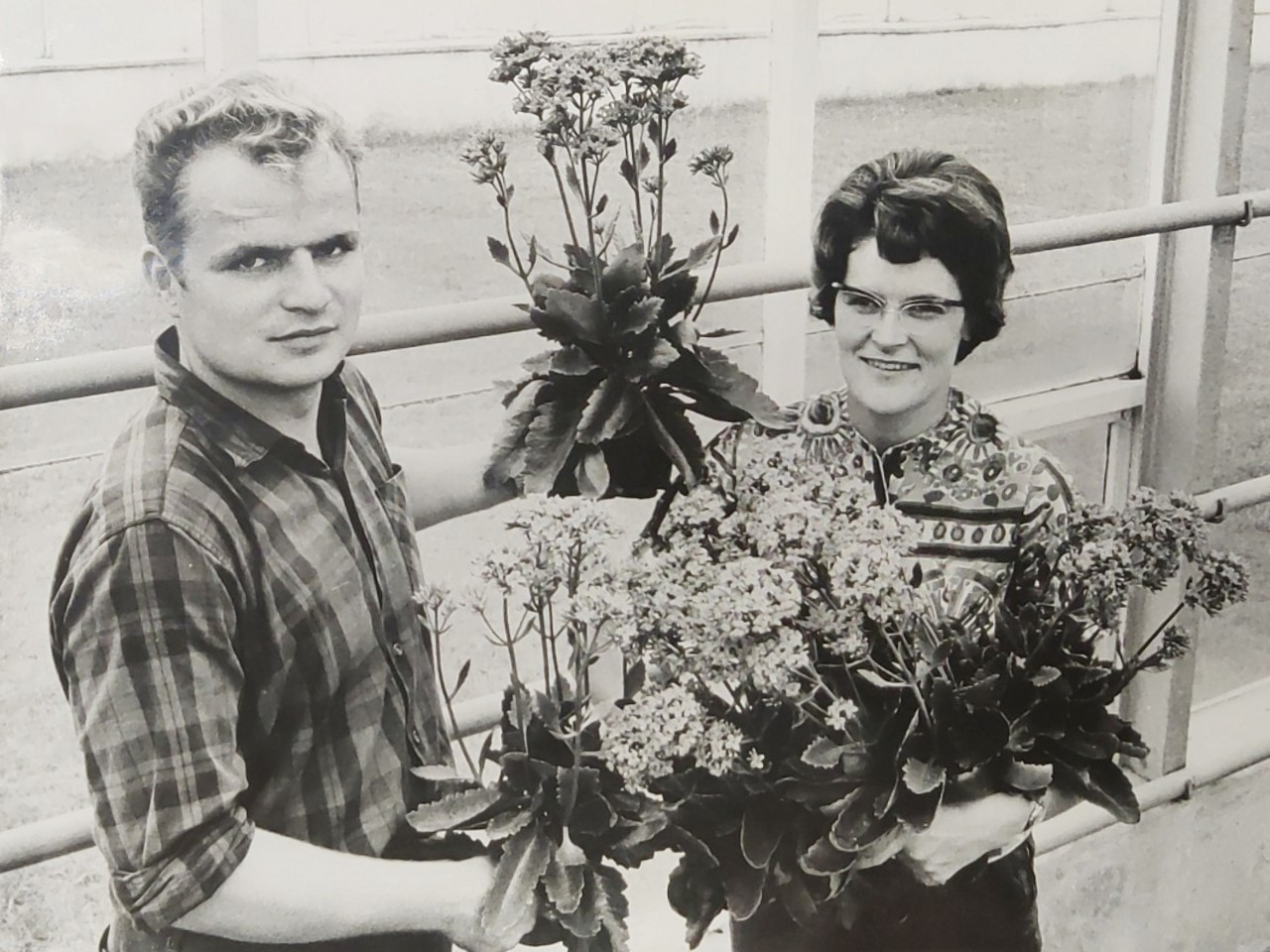 Knud og Ellen Jepsen